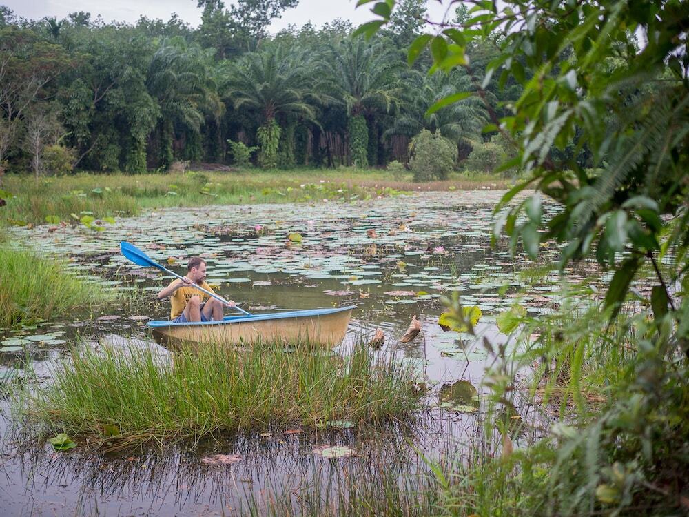 Сураттхани: Wichai's Jungle Home Stay