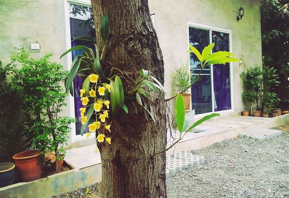 Чиангмай: Mild Home Guesthouse