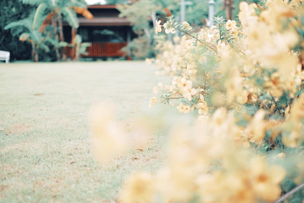 Пхетчабун: Googig Hut Resort