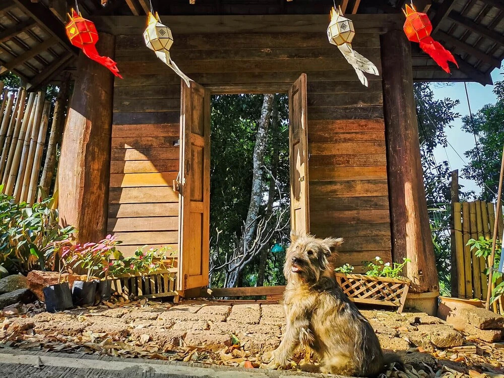 Мае-Он: Taloh Homestay Chiangmai