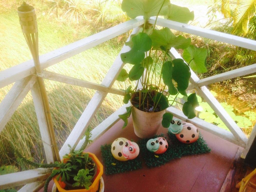 Чумпхон: Ariya Garden Home