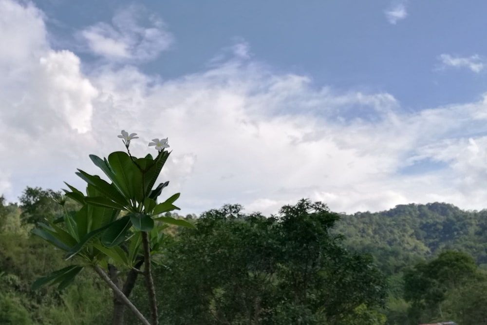 Лампанг: Bondoi Lampang