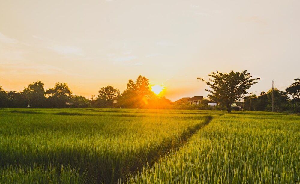Ханг Донг: Bannkrithamed Chiangmai