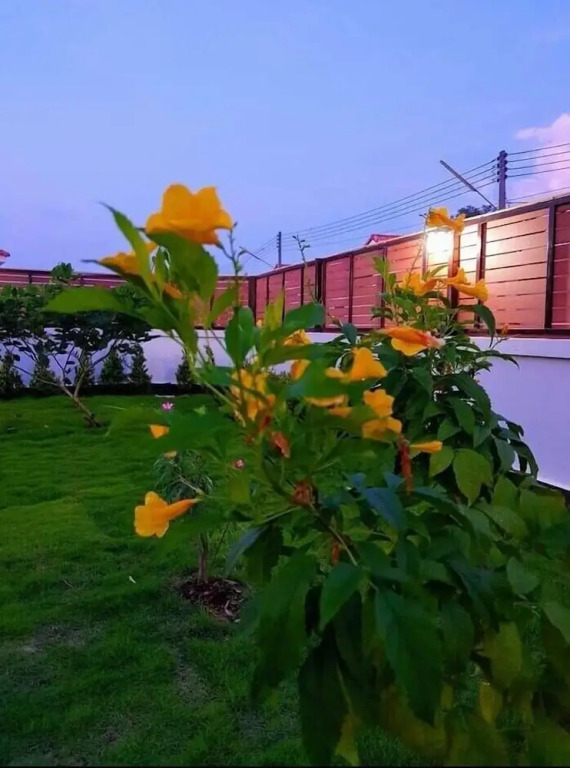 Саттахип: Baan Dear Home Stay