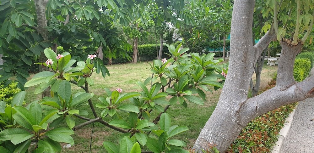 Хат-Чао-Самран: Chomtawan Home