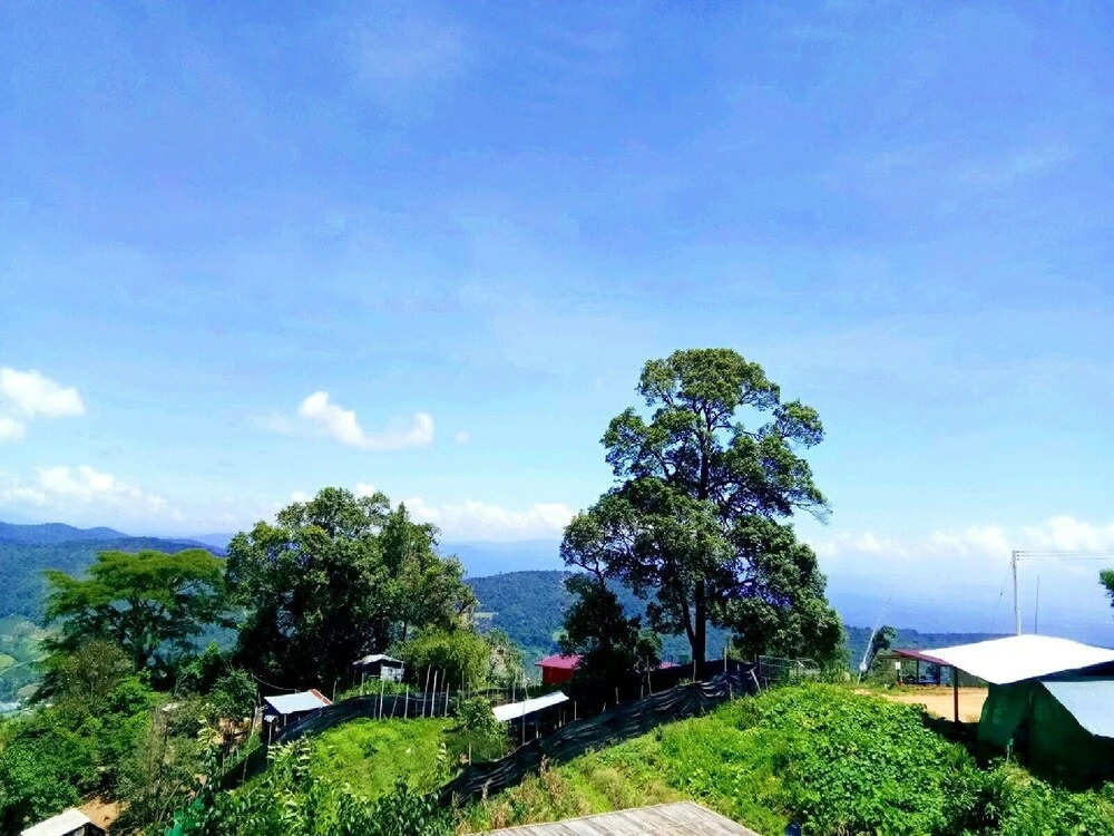 Маерим: Phu Fa Sai Homestay