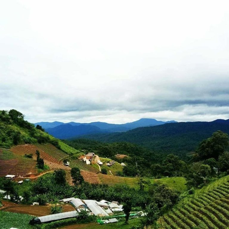 Маерим: Phu Fa Sai Homestay