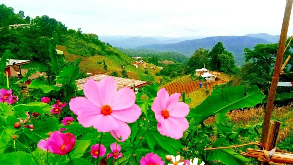 Маерим: Phu Fa Sai Homestay