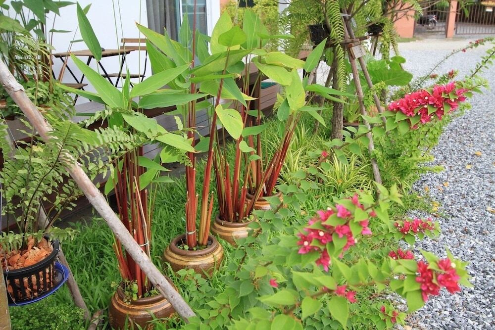 Чонбури: HomeMi House Homestay