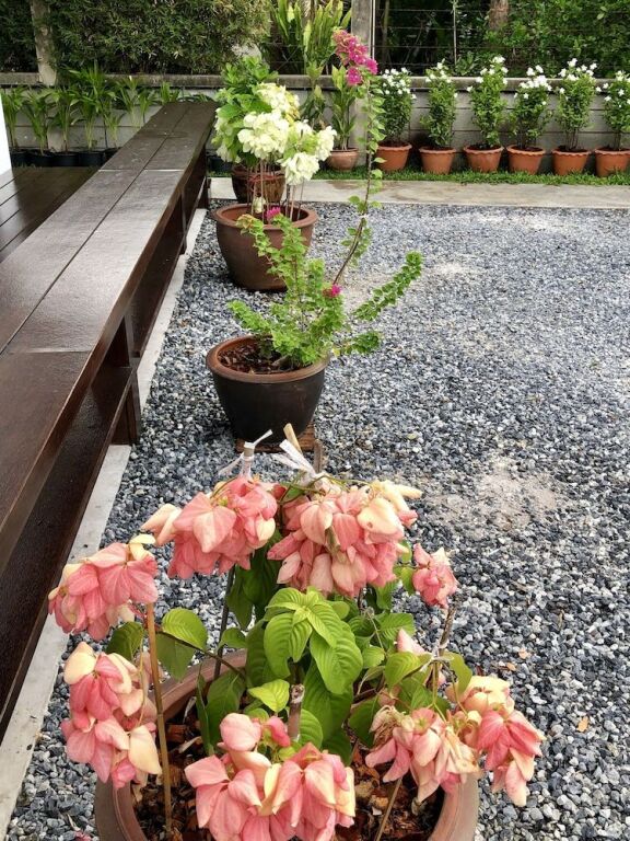 Чонбури: HomeMi House Homestay