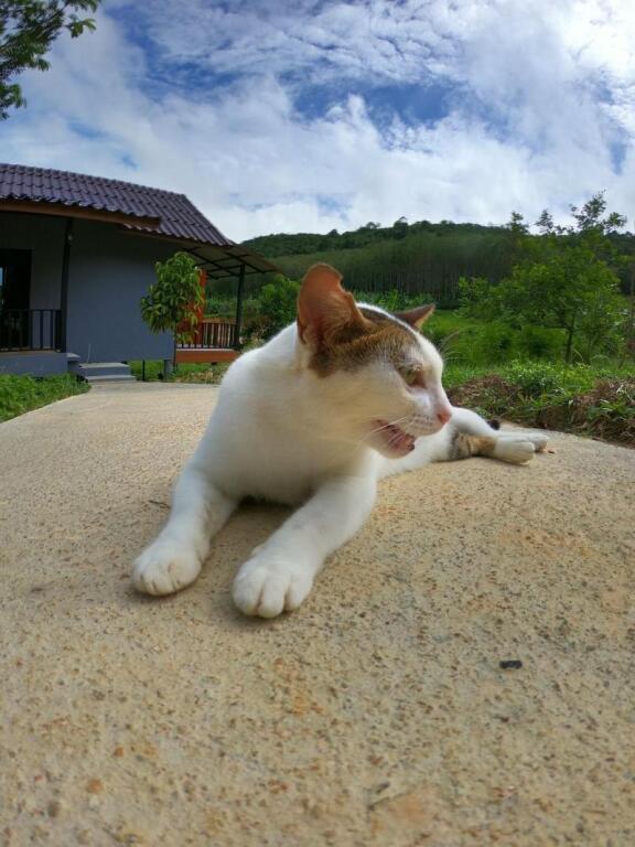 Ко-Яо-Яй: Green Mountain Resort Koh Yao