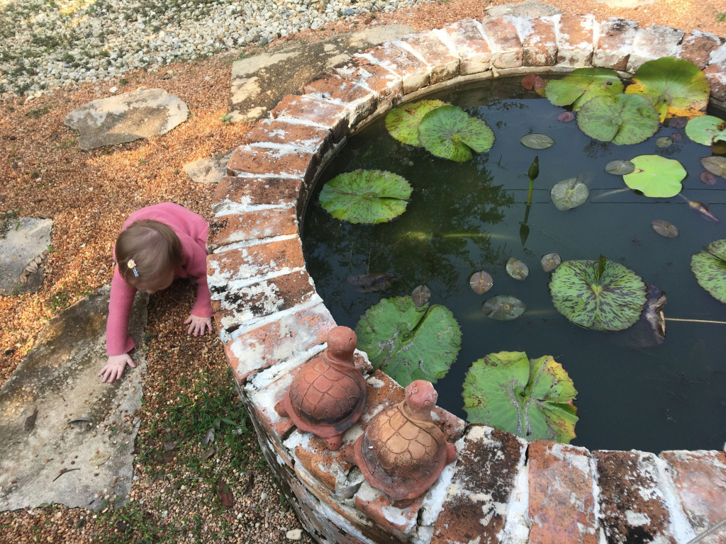 Лампанг: Baan Mali Lampang