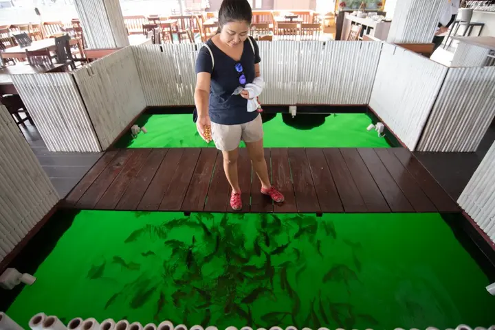 Кхао Пхан: Отель 500Rai Floating Resort - Khao Sok National Park
