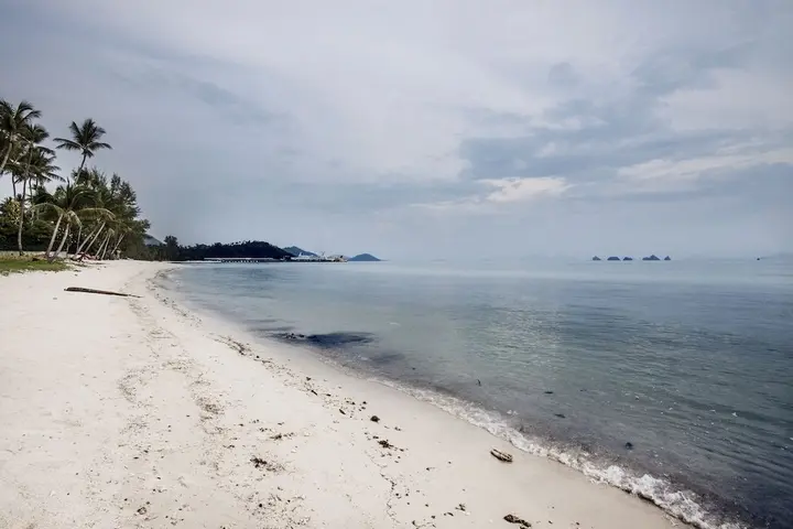 Самуи: Villa Lipalia 104 Private pool villa with 1 bedroom at Lipa Noi
