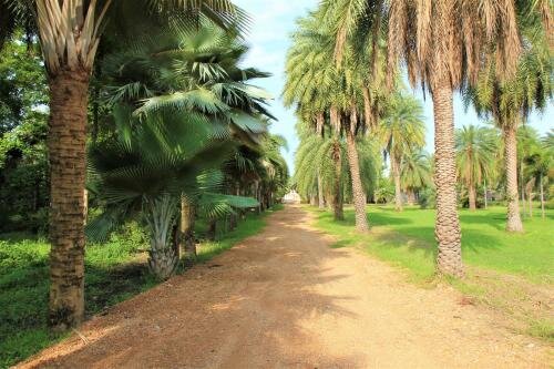 Лопбури: Lopburi Palm Resort