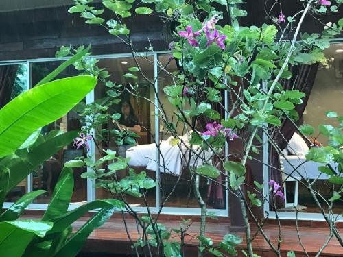 Пхра-Прадэнг: 88 Homestay