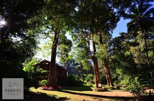 Мае-Таенг: Farm63 Chiang Dao