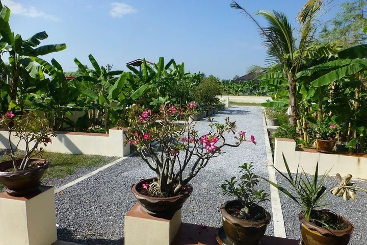 Бан-Мак-Хен: 1 Bedroom Pool Villa Tropical Fruit Garden Fast Wi-fi Smart Tv Home Cooking