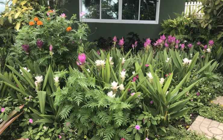 Кхэм Сон: Green View 104 Khao Kho
