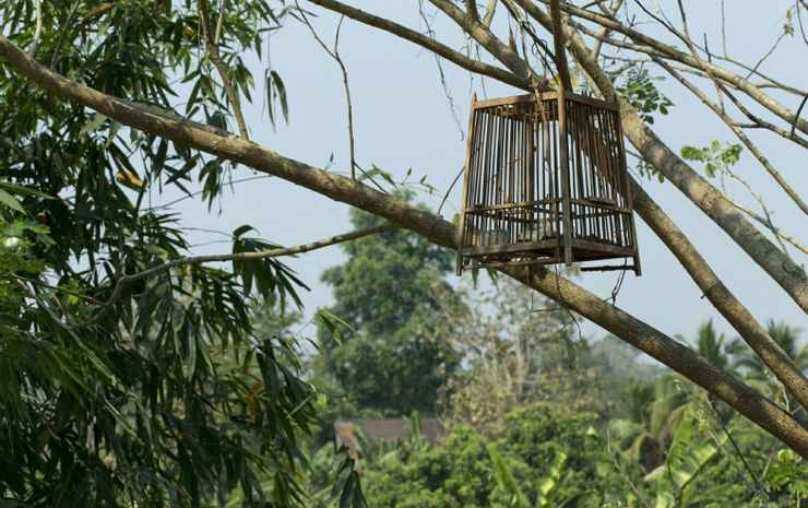 Дой-Сакет: Phurintara - Resort Doi Saket