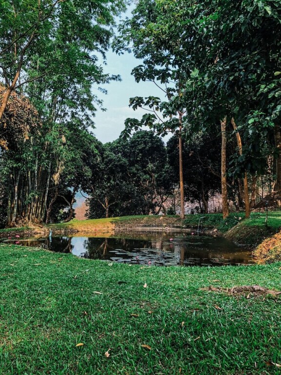 Мае-Таенг: Hug Home Valley ChiangDao - Hostel