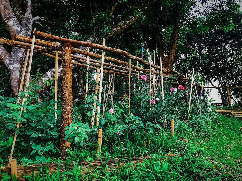 Мае-Таенг: Hug Home Valley ChiangDao - Hostel