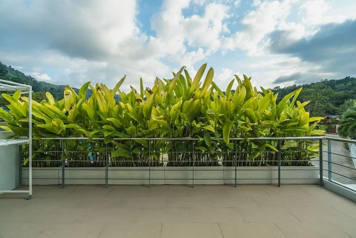 Камала Бич: The White Pool Villa Kamala Beach Phuket