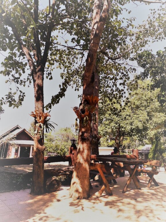 Мэхонгсон: Banbondoi Homestay Maehongson