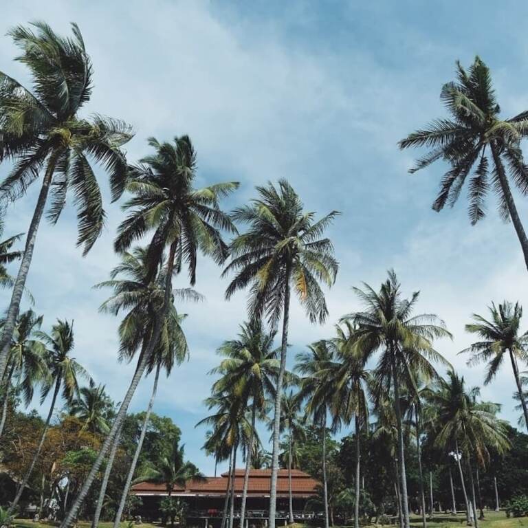 Рача-Яй: Bambooraya Villa