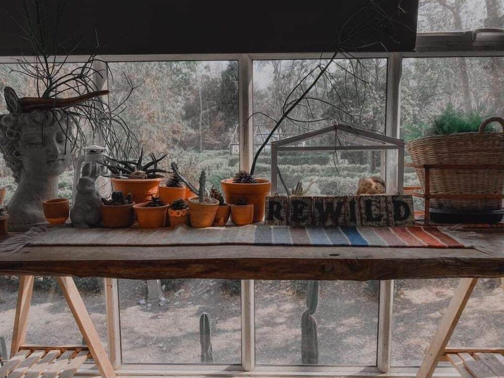 Суан Фуэн: Rewild Camp And Cafe