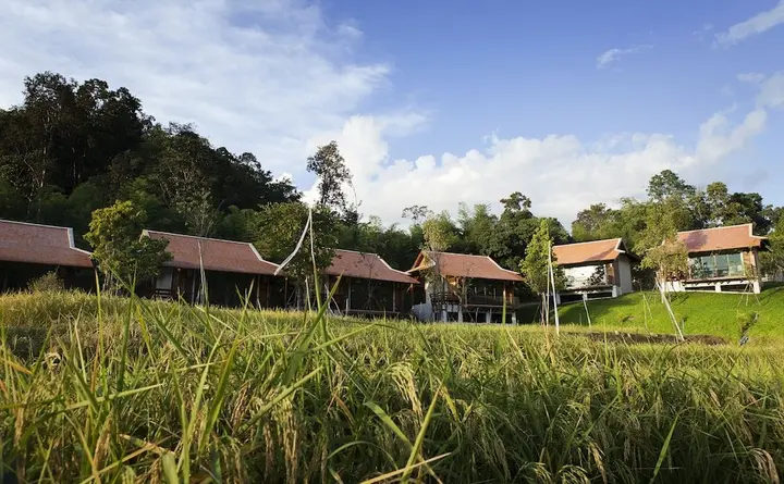 Дой-Сакет: Tippaya Villa