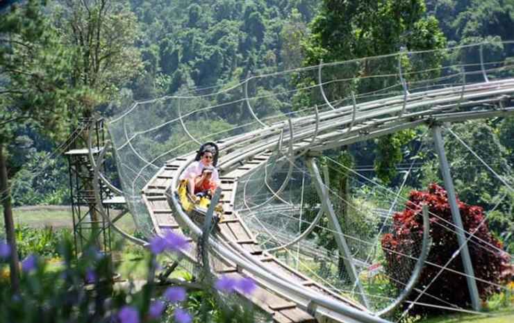 Маерим: Pongyang Jungle Coaster Zipline Camp&Resort