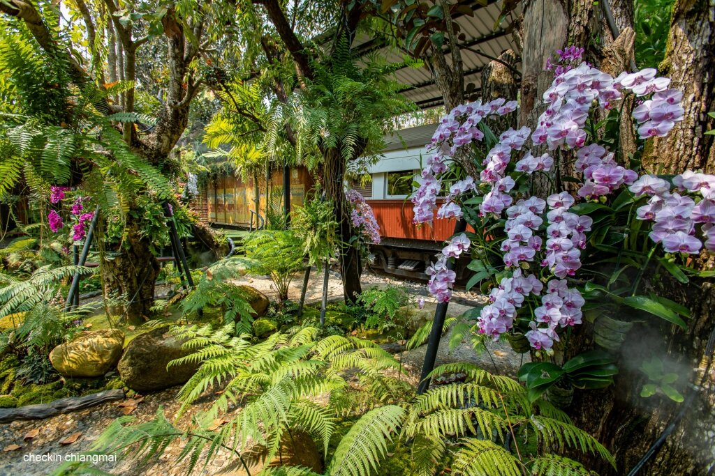 Ханг Донг: Royal Train Garden Resort