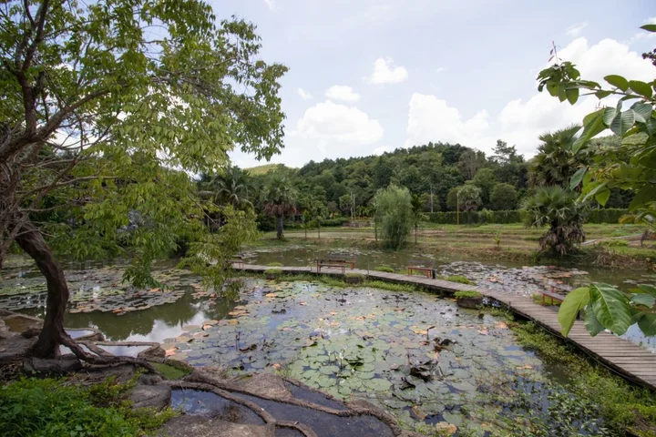 Ханг Донг: Royal Train Garden Resort