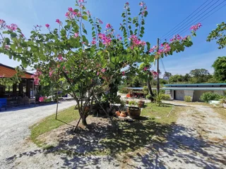 Сирача: Viman Resort
