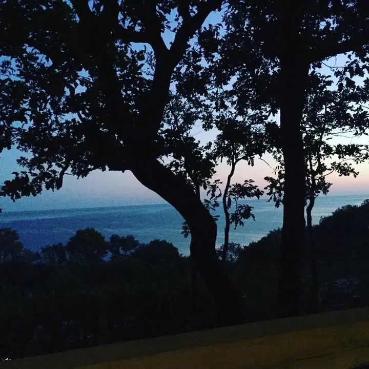 Тенгинское сельское поселение: Camping Gorizont