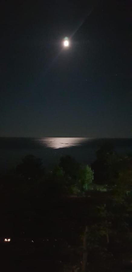 Тенгинское сельское поселение: Camping Gorizont