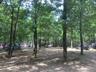Тенгинское сельское поселение: Camping Gorizont