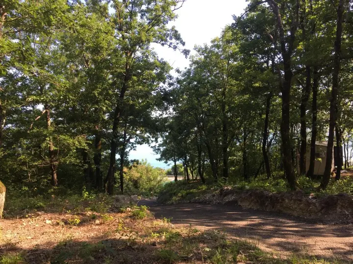 Тенгинское сельское поселение: Camping Gorizont