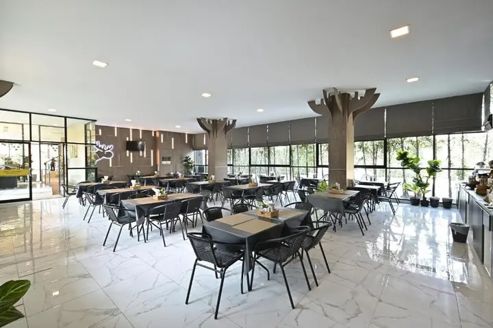 Чиангмай: Moose Hotel Chiangmai