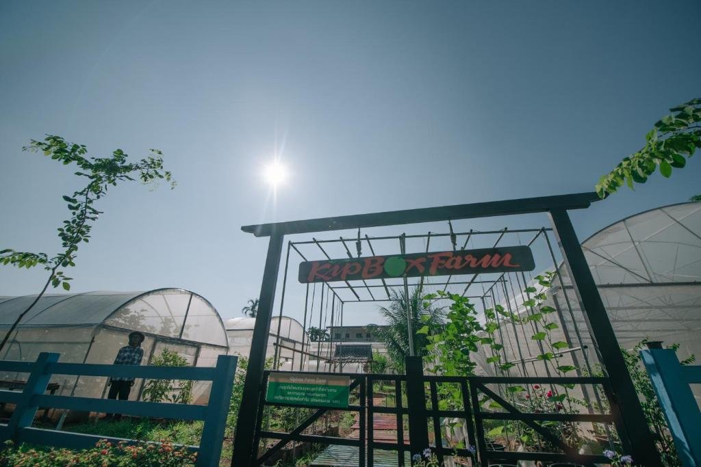 Транг: Kipbox hotel trang