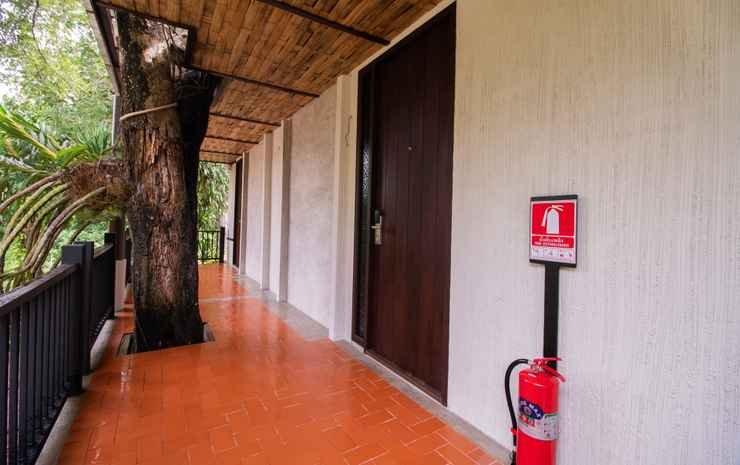 Phapok Eco Resort — фото 3