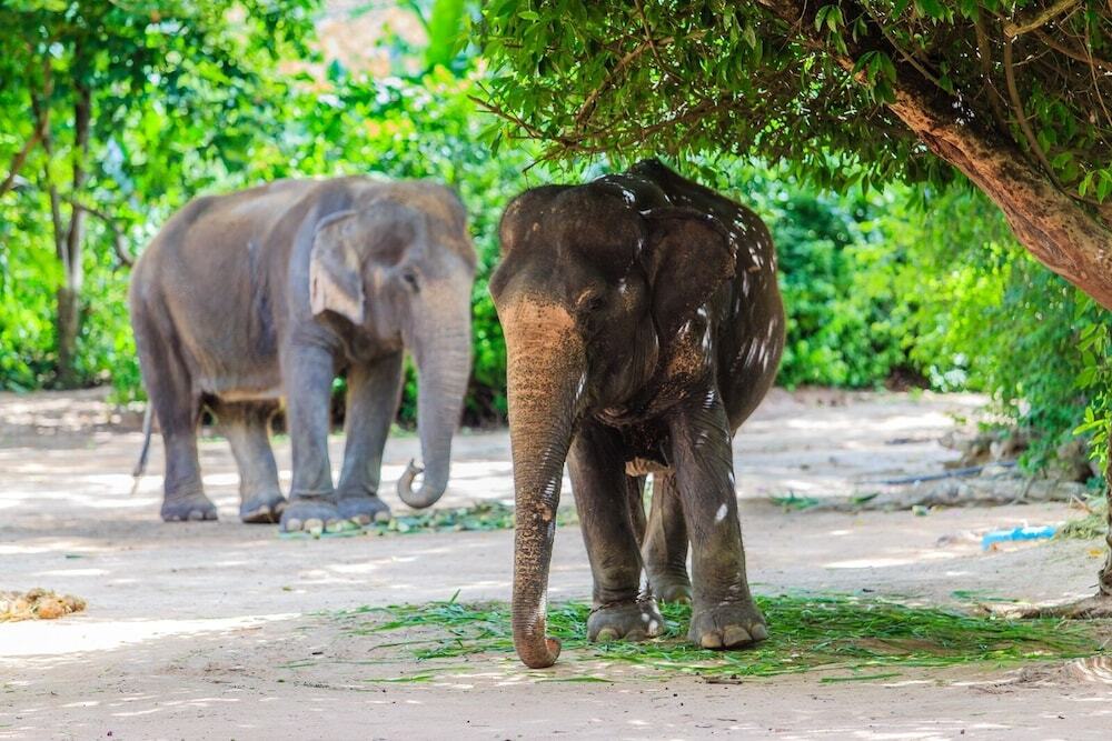 Сирача: City Garden Pattaya