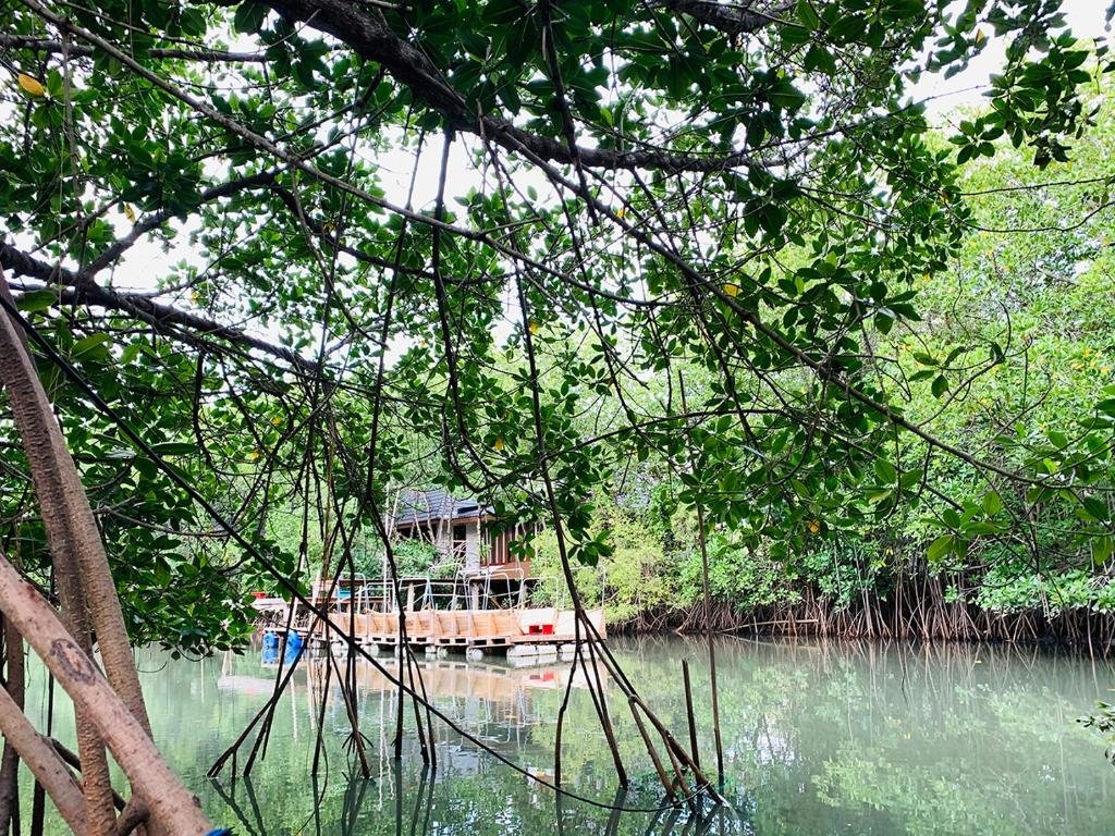 Бан-Лаэм: RealRare Phetchaburi  The Outing Villas