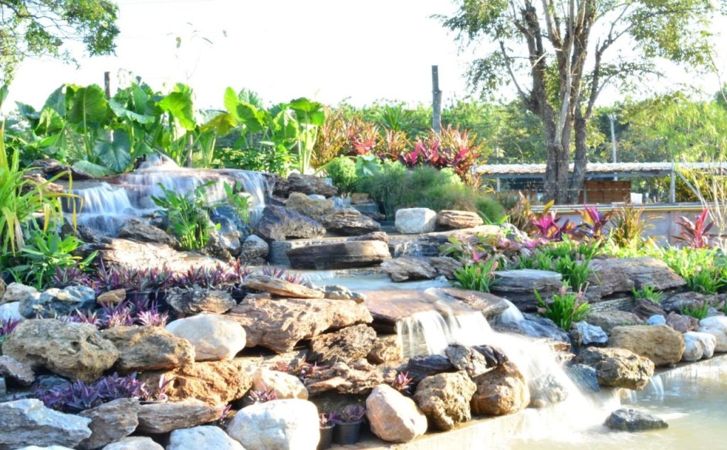 Пхаяу: DD Garden Home