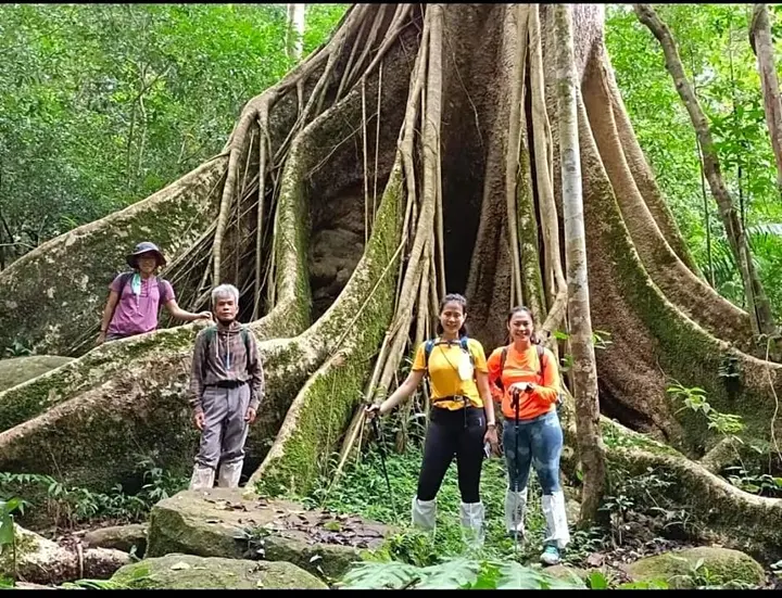 Пак-Чонг: Pakchong hostel & wildlife tour