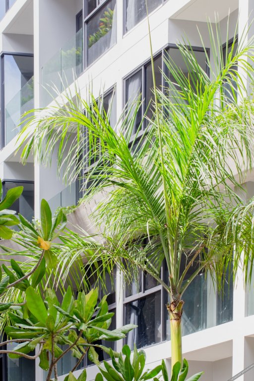 Муанг: HOMA Phuket Town