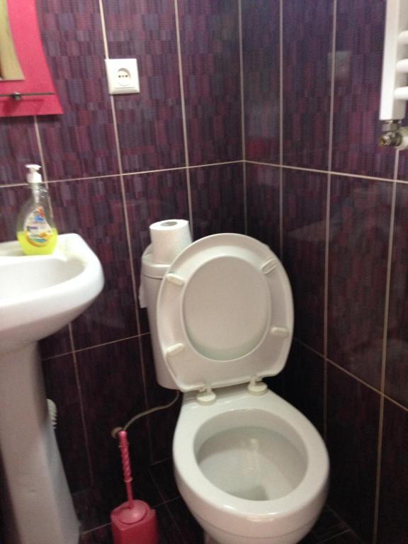 Боржоми: Guest House Tamari