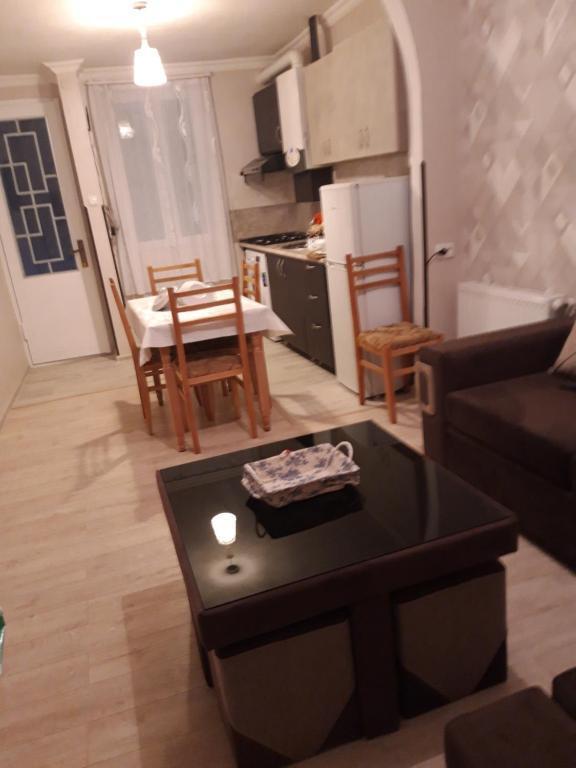 Боржоми: Guest House Tamari