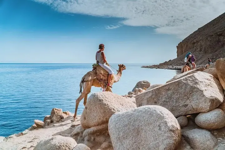 Дахаб: Surfers Lounge Dahab Lagoon